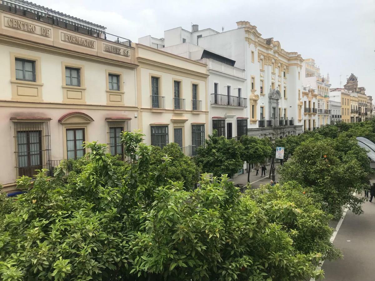 헤레스 Apartamento Centro Jerez 아파트 외부 사진